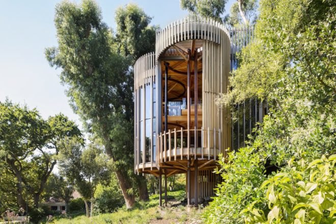 House Paarman by Malan Vorster, Malan Vorster treehouse, forest inspired buildings, tree inspired architecture, tree house in Cape Town, House Paarman tree house, South Africa tree house,