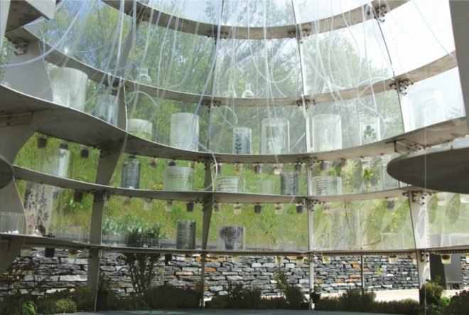 Janet Laurence, inside the flower, inside the flower exhibition, International Garden Exposition, greenhouse exhibition, flower art, flower display, medicinal garden, medicinal garden greenhouse, medicinal garden art display, medicinal garden art, exhibition of medicinal plants, edible flowers, flower displays, garden exhibition, mesh greenhouse, plant architecture, green design, garden architecture, greenhouse architecture