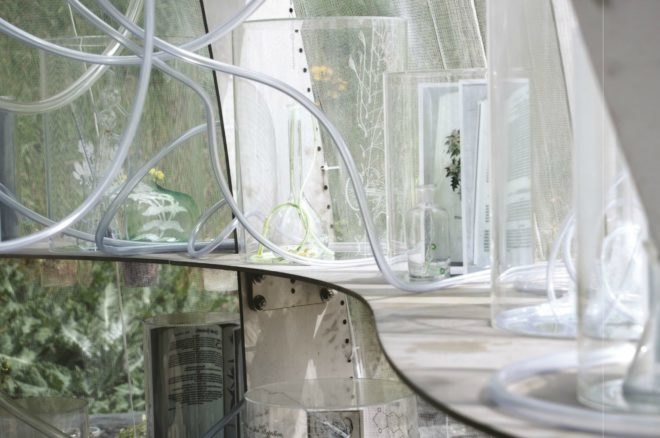 Janet Laurence, inside the flower, inside the flower exhibition, International Garden Exposition, greenhouse exhibition, flower art, flower display, medicinal garden, medicinal garden greenhouse, medicinal garden art display, medicinal garden art, exhibition of medicinal plants, edible flowers, flower displays, garden exhibition, mesh greenhouse, plant architecture, green design, garden architecture, greenhouse architecture