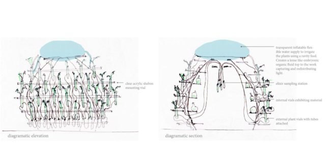 Janet Laurence, inside the flower, inside the flower exhibition, International Garden Exposition, greenhouse exhibition, flower art, flower display, medicinal garden, medicinal garden greenhouse, medicinal garden art display, medicinal garden art, exhibition of medicinal plants, edible flowers, flower displays, garden exhibition, mesh greenhouse, plant architecture, green design, garden architecture, greenhouse architecture
