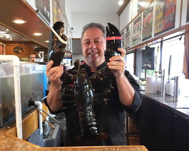 Louie, Louie the Lobster, Peter's Clam Bar, Long Island, Hempstead, New York, lobster, lobsters, crustacean, crustaceans, seafood, ocean, pardon, animals, animal