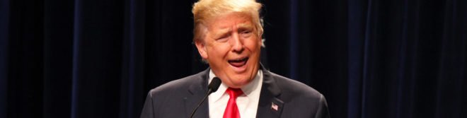 climate change, solar power, solar panel wall, border wall, solar border wall, Trump border wall, US climate change, climate change policy, Trump climate change, Trump clean energy, Trump solar power