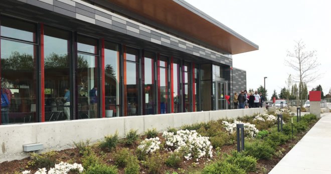 Tukwila Library, Perkins+Will, green roof, green library, Washington, carbon negative, green architecture, Seattle, natural light, drought tolerant plants, native plants
