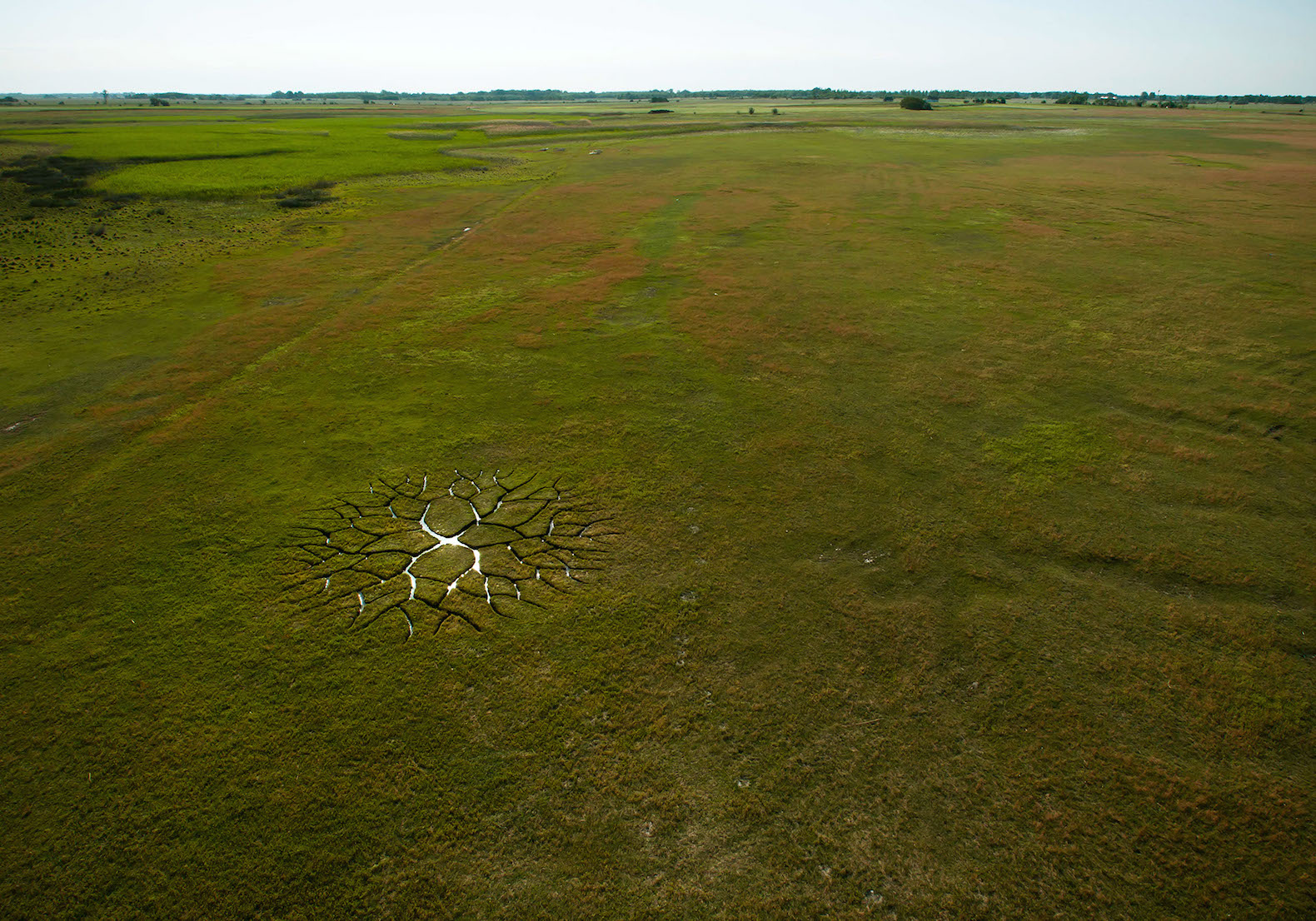 World Tree by Krisztián Balogh, World Tree land art, Krisztián Balogh art, Krisztián Balogh land art, peat bog art, peat art,