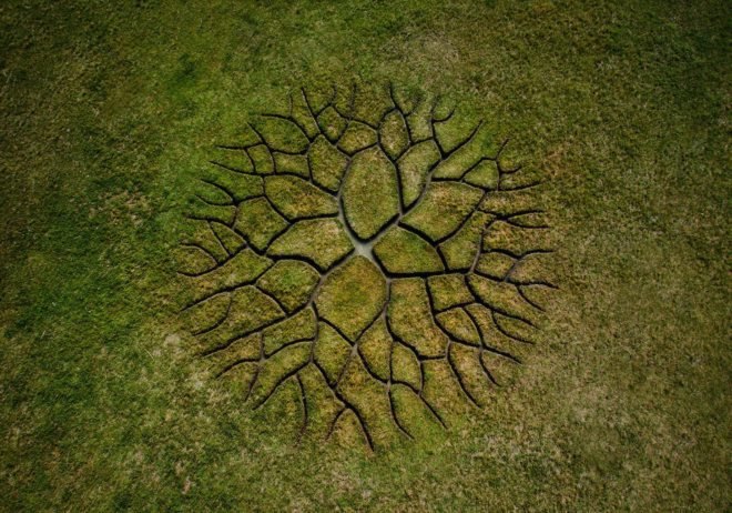 World Tree by Krisztián Balogh, World Tree land art, Krisztián Balogh art, Krisztián Balogh land art, peat bog art, peat art,