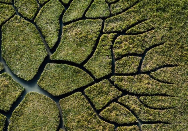 World Tree by Krisztián Balogh, World Tree land art, Krisztián Balogh art, Krisztián Balogh land art, peat bog art, peat art,