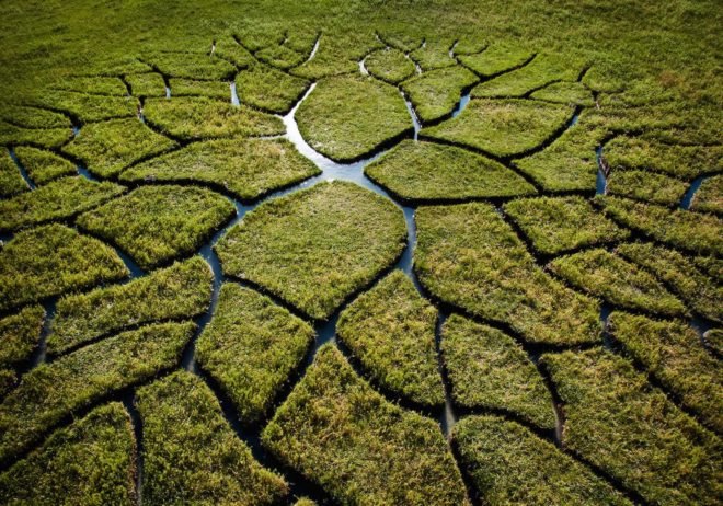 World Tree by Krisztián Balogh, World Tree land art, Krisztián Balogh art, Krisztián Balogh land art, peat bog art, peat art,