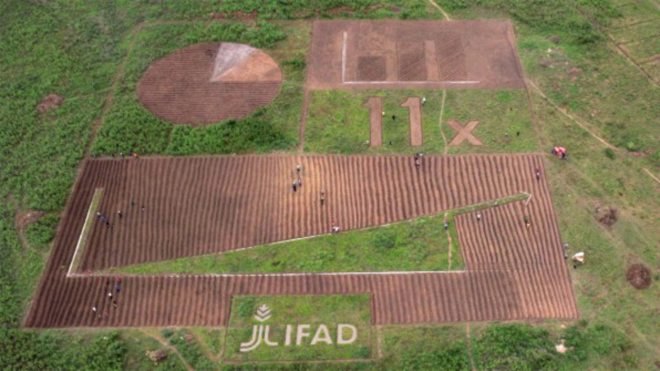 Africa, poverty, IFAD, agriculture, investment, food insecurity, economy, economic growth,
