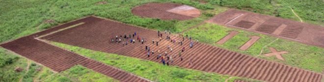 Africa, poverty, IFAD, agriculture, investment, food insecurity, economy, economic growth,