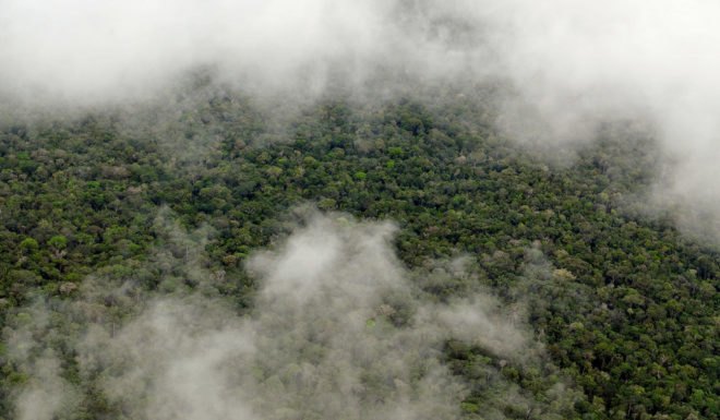 Amazon, Amazon forest, Amazon rainforest, southern Amazon, forest, forests, rainforest, rainforests, rain, rainfall, rainy season, deforestation, tree, trees, water, water vapor, NASA Jet Propulsion Laboratory