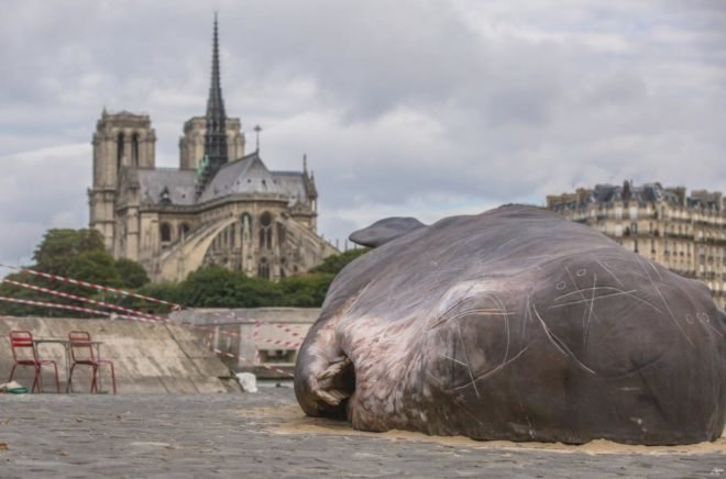 beached whale, Paris, France, art installation, Captain Boomer Collective, environment, wildlife, activism,