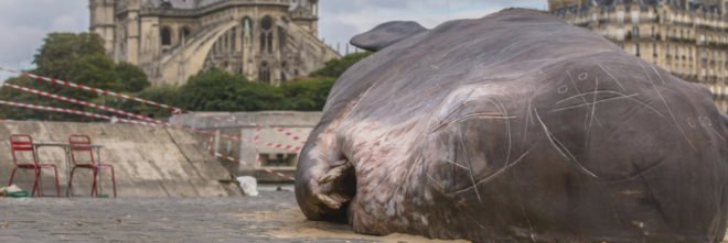 beached whale, Paris, France, art installation, Captain Boomer Collective, environment, wildlife, activism,