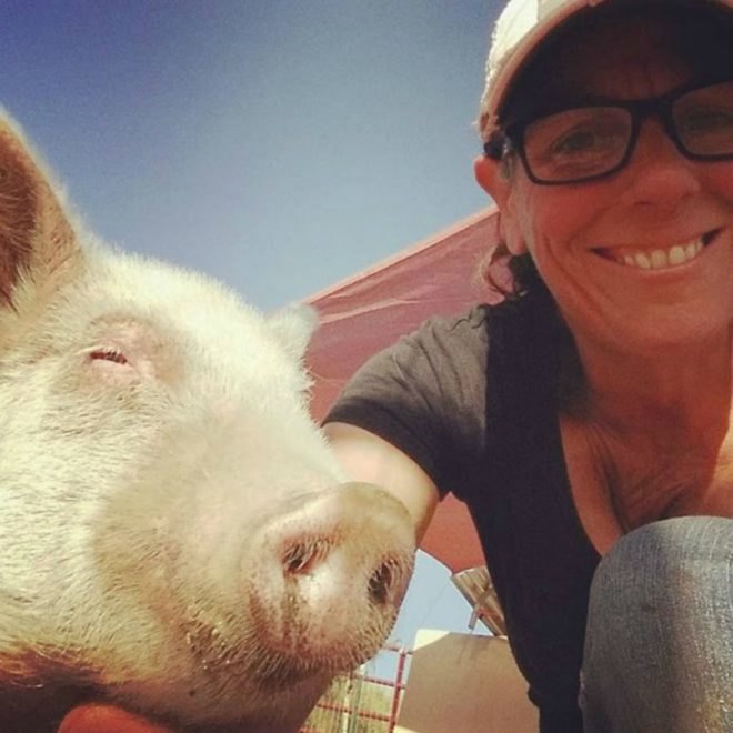 Cherry Blossom, Sale Ranch Sanctuary, animal welfare, animal cruelty, The Dodo, abuse, transformation, piglet