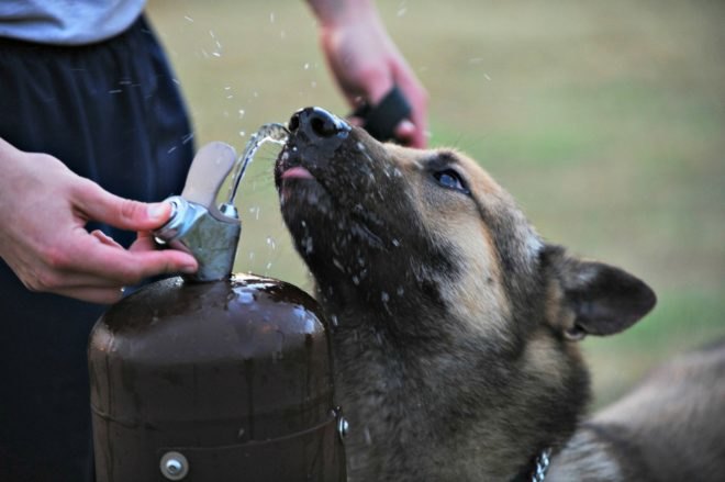 chicago water, chicago lead, lead in US water, dangerous lead, toxic water, lead in water, lead in drinking water, EPA, lead contamination, Chicago, drinking fountains, WBEZ, toxicity,