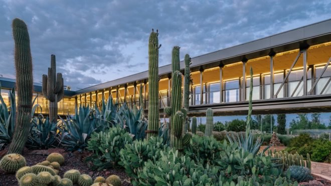 GarciaGerman Arquitectos, Madrid cactus park, desert city, desert city madrid, garden, Cacti greenhouse, Cacti park, madrid parks, madrid parks, madrid desert city, cactus gardens europe, public green space, urban gardens, spain cactus park, cactus greenhouse, park design, landscape archictecture, sustainable parks, green design, sustainable design, sustainable urban design