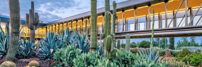 GarciaGerman Arquitectos, Madrid cactus park, desert city, desert city madrid, garden, Cacti greenhouse, Cacti park, madrid parks, madrid parks, madrid desert city, cactus gardens europe, public green space, urban gardens, spain cactus park, cactus greenhouse, park design, landscape archictecture, sustainable parks, green design, sustainable design, sustainable urban design