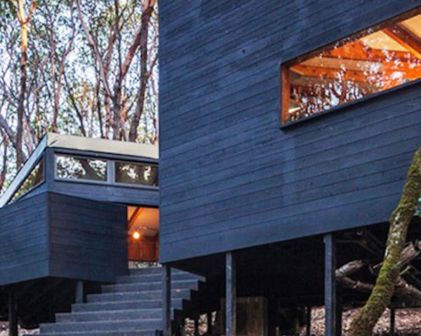 Forest House by Envelope A+D, Forest House by Envelope Architecture + Design, Forest House in Northern California, holiday retreat california, unconventional holiday retreat, holiday home in Mendocino county, tent cabins