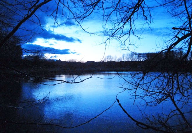 pond, spooky, lake