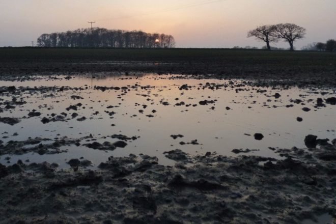 ghost pond, University College London, sunset