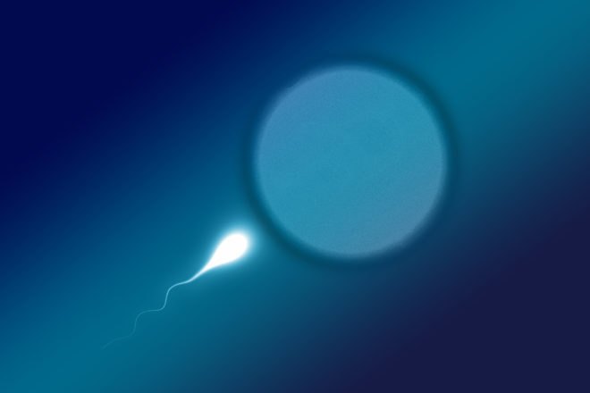 Sperm, human sperm, sperm count, sperm concentration, human reproduction, Human Reproduction Update, reproduction, extinct, extinction, human extinction, health, science