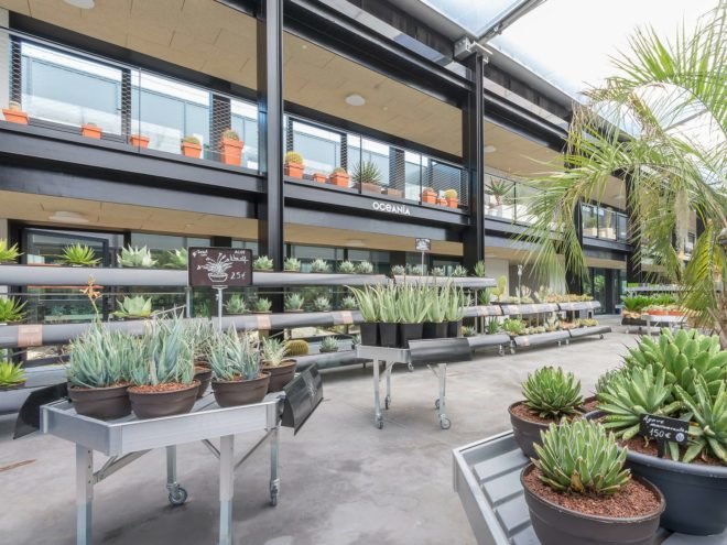 GarciaGerman Arquitectos, Madrid cactus park, desert city, desert city madrid, garden, Cacti greenhouse, Cacti park, madrid parks, madrid parks, madrid desert city, cactus gardens europe, public green space, urban gardens, spain cactus park, cactus greenhouse, park design, landscape archictecture, sustainable parks, green design, sustainable design, sustainable urban design