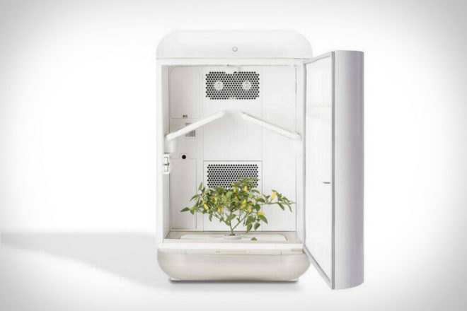 Seedolab, Seed hydroponic system, home hydroponic growing systems, Seedo app, Seedo app growing system, Seedo home garden system, home gardens, home planting, hydroponic gardens, hydroponic systems, home gardening systems, hydroponic gardens, urban gardening,