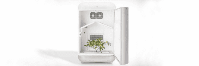 Seedolab, Seed hydroponic system, home hydroponic growing systems, Seedo app, Seedo app growing system, Seedo home garden system, home gardens, home planting, hydroponic gardens, hydroponic systems, home gardening systems, hydroponic gardens, urban gardening,