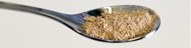 Finland, scientists, food, electricity, hunger