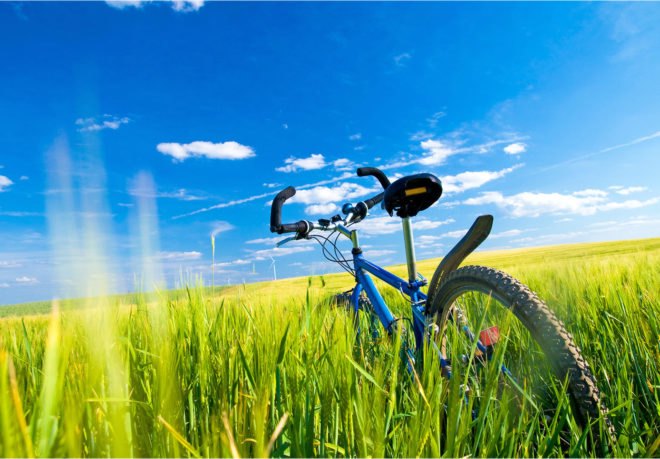 Bike Tax, Oregon, Governor Brown, cycling, bicycles, eco-friendly, environment, carbon emissions