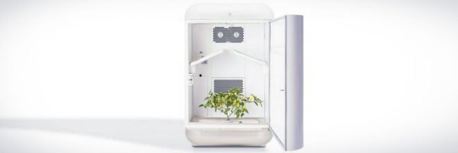Seedolab, Seed hydroponic system, home hydroponic growing systems, Seedo app, Seedo app growing system, Seedo home garden system, home gardens, home planting, hydroponic gardens, hydroponic systems, home gardening systems, hydroponic gardens, urban gardening,