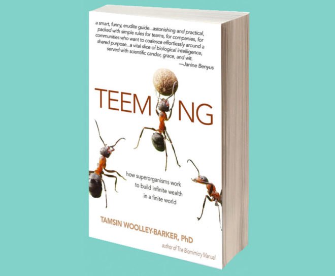 Tamsin Woolley-Barker book, Teeming by Tamsin Woolley-Barker, Teeming: How Superorganisms Work to Build Infinite Wealth in a Finite World, company, superorganisms, biomimicry in workplace, biomimicry for company improvement, biomimicry for business, interview Tamsin Woolley-Barker