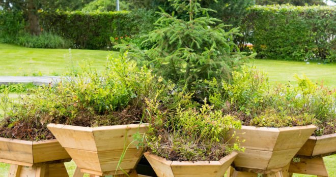 Bilberry Pad, modular planters, Mieluisa, green planters, green design, Finland, Siberian larch