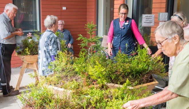 Bilberry Pad, modular planters, Mieluisa, green planters, green design, Finland, Siberian larch