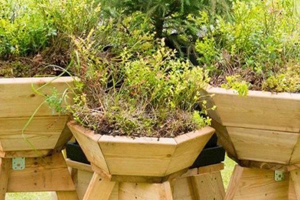 Bilberry Pad, modular planters, Mieluisa, green planters, green design, Finland, Siberian larch