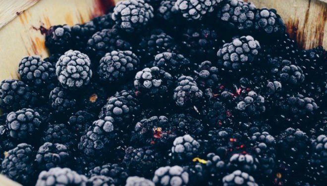 dye, plant dye, plant dyes, popular plant dyes, plants to dye with, dyeing with plants, dye with onion skins, onion skin dye, onion skins, goldenrod dye, blueberry dye, cabbage leaf dye, DIY plant dye, natural dyeing, mordant, mordants, dye, dyes