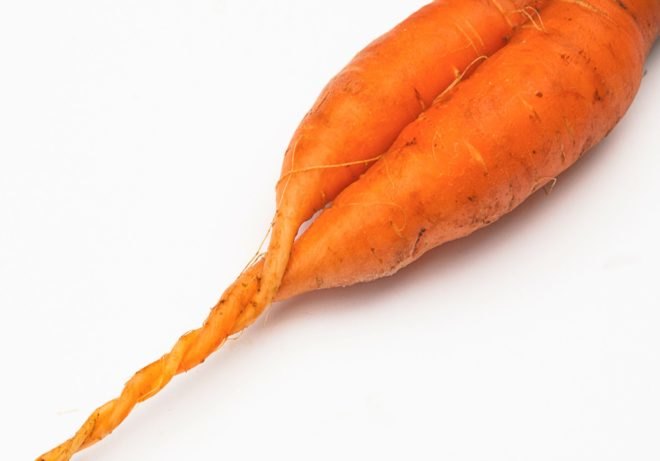carrots, conjoined carrots, hugging carrots