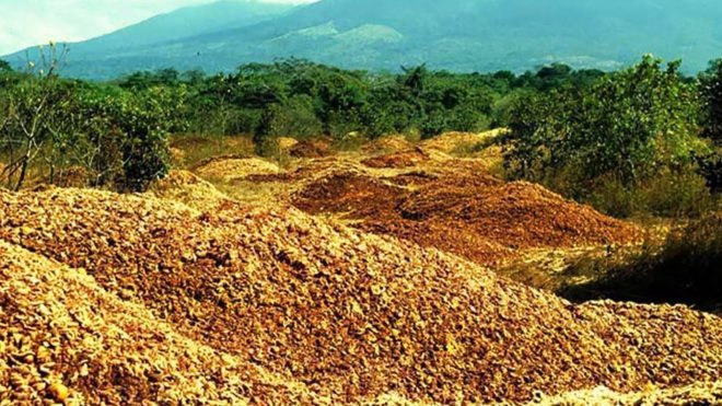 Princeton University, Costa Rica, Del Oro, Área de Conservación Guanacaste, orange, oranges, orange peel, orange peels, agricultural waste, forest, forests, environment, biodegrade