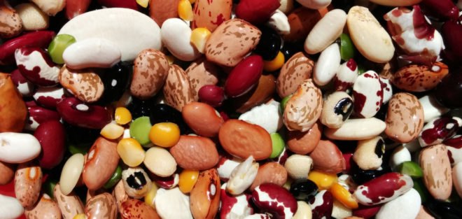 beans, dry beans, dried beans, vegan protein