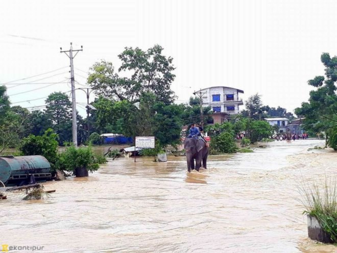 Chitwan National Park, elephants, flooding, India, death toll, climate change, global warming, natural disaster, tourists, foreigners,