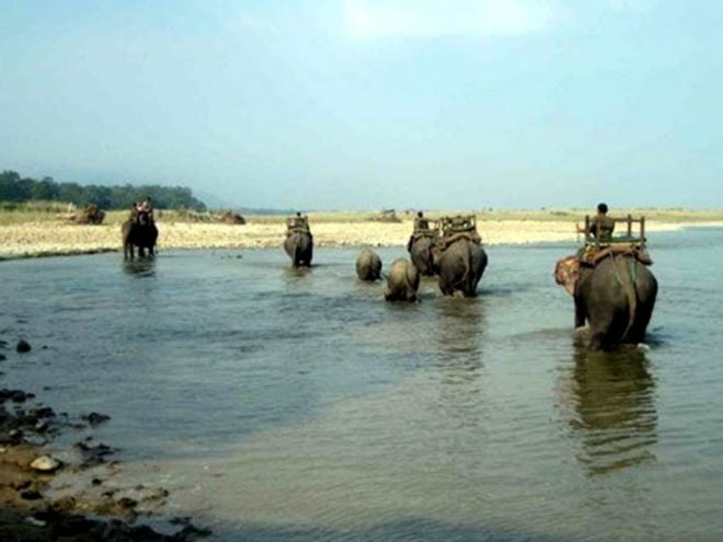 Chitwan National Park, elephants, flooding, India, death toll, climate change, global warming, natural disaster, tourists, foreigners,