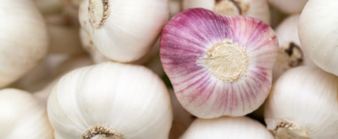 Garlic, garlic bulb, garlic cloves, raw garlic
