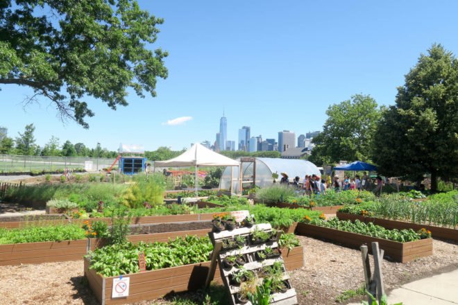 GrowNYC Teaching Garden, GrowNYC garden, GrowNYC urban farm, Governors Island Teaching Garden, Teaching Garden New York City, NYC urban farming, NYC community garden, Governors Island urban farm, Governors Island community garden, field trip urban farm niece, Earth Matter compost, organic garden NYC, aquaponics NYC, solar powered aquaponics