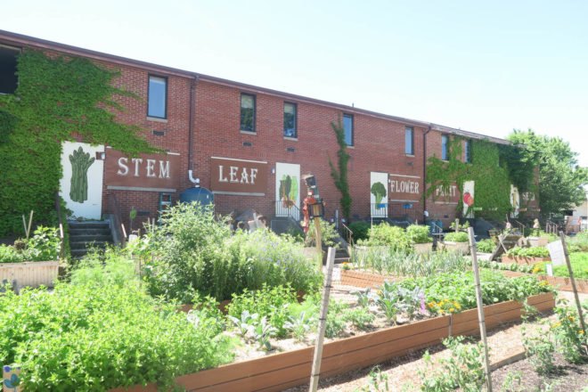 GrowNYC Teaching Garden, GrowNYC garden, GrowNYC urban farm, Governors Island Teaching Garden, Teaching Garden New York City, NYC urban farming, NYC community garden, Governors Island urban farm, Governors Island community garden, field trip urban farm niece, Earth Matter compost, organic garden NYC, aquaponics NYC, solar powered aquaponics
