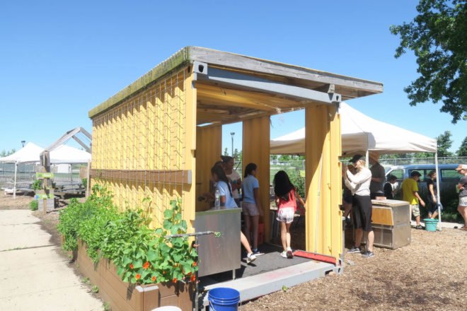 GrowNYC Teaching Garden, GrowNYC garden, GrowNYC urban farm, Governors Island Teaching Garden, Teaching Garden New York City, NYC urban farming, NYC community garden, Governors Island urban farm, Governors Island community garden, field trip urban farm niece, Earth Matter compost, organic garden NYC, aquaponics NYC, solar powered aquaponics