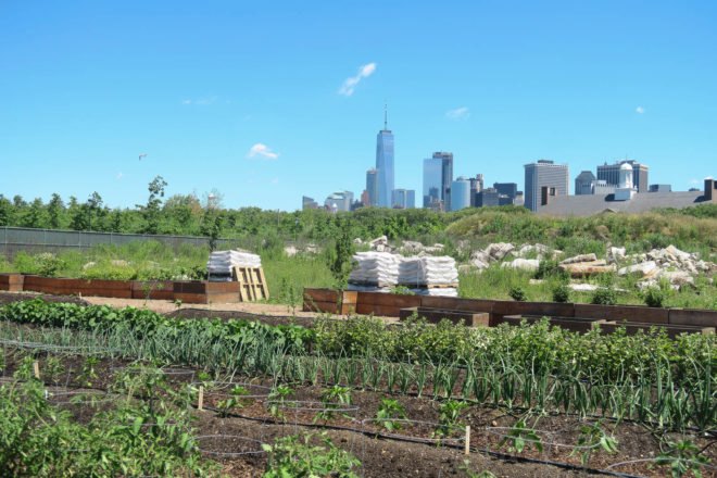 GrowNYC Teaching Garden, GrowNYC garden, GrowNYC urban farm, Governors Island Teaching Garden, Teaching Garden New York City, NYC urban farming, NYC community garden, Governors Island urban farm, Governors Island community garden, field trip urban farm niece, Earth Matter compost, organic garden NYC, aquaponics NYC, solar powered aquaponics
