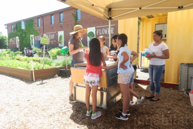 GrowNYC Teaching Garden, GrowNYC garden, GrowNYC urban farm, Governors Island Teaching Garden, Teaching Garden New York City, NYC urban farming, NYC community garden, Governors Island urban farm, Governors Island community garden, field trip urban farm niece, Earth Matter compost, organic garden NYC, aquaponics NYC, solar powered aquaponics
