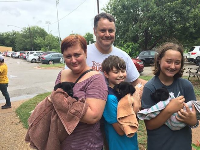 Harvey, Hurricane Harvey, hurricane, hurricanes, Tropical Storm Harvey, tropical storm, tropical storms, storm, storms, natural disaster, disaster relief, Houston, Texas, rescue, animal, animals, pet, pets