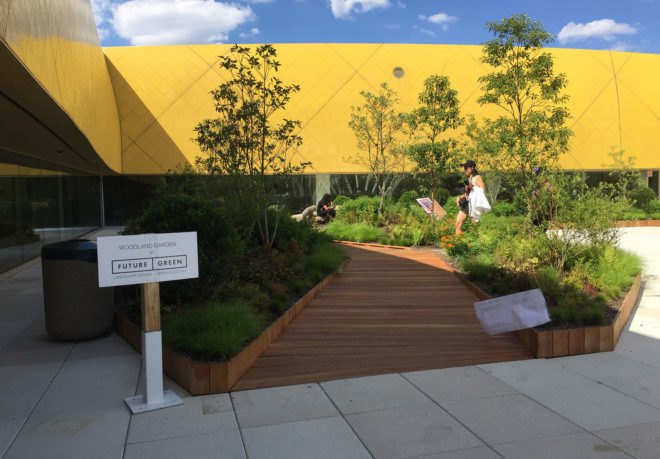 Brooklyn Children’s Museum rooftop terrace, sustainable landscaping, children’s museum terrace, green roof, green design, green roof, sustainable design, green building, park, public space, urban design