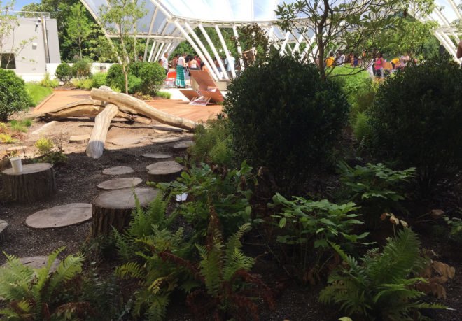 Brooklyn Children’s Museum rooftop terrace, sustainable landscaping, children’s museum terrace, green roof, green design, green roof, sustainable design, green building, park, public space, urban design