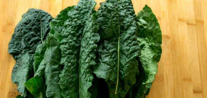 kale, tuscan kale, lacinato kale, brassica, leafy greens